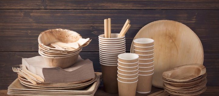 Eco-Friendly Dinnerware